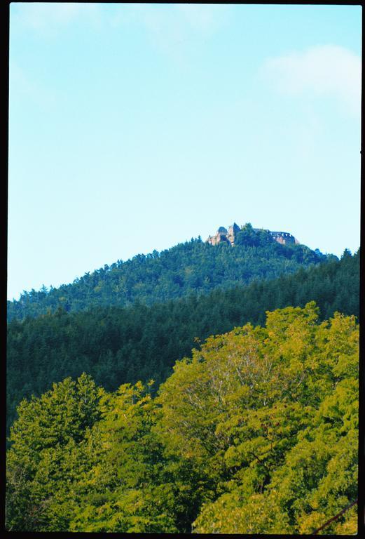 Residence Des Chateaux Ottrott Dış mekan fotoğraf